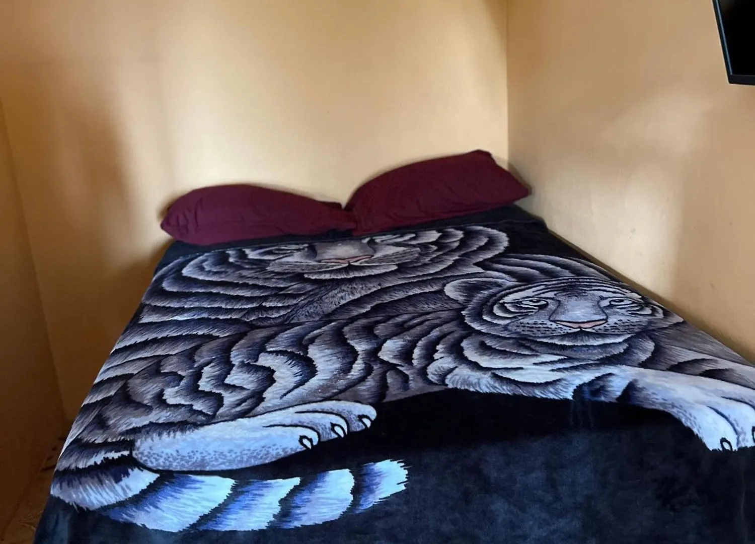O- T On The Rise Bed & Breakfast Tweedside Jamaica