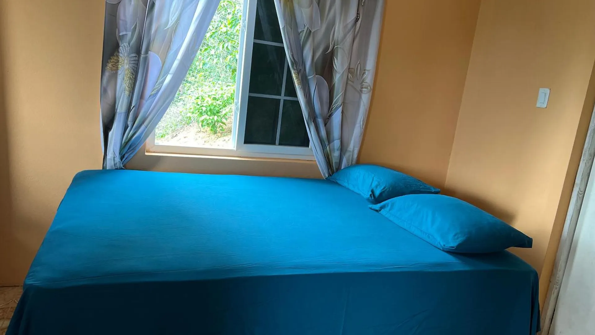 O- T On The Rise Bed & Breakfast Tweedside 0*,  Jamaica