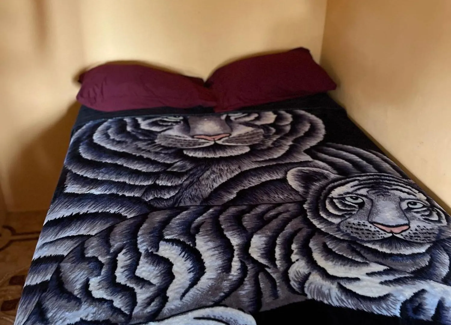 O- T On The Rise Bed & Breakfast Tweedside Jamaica